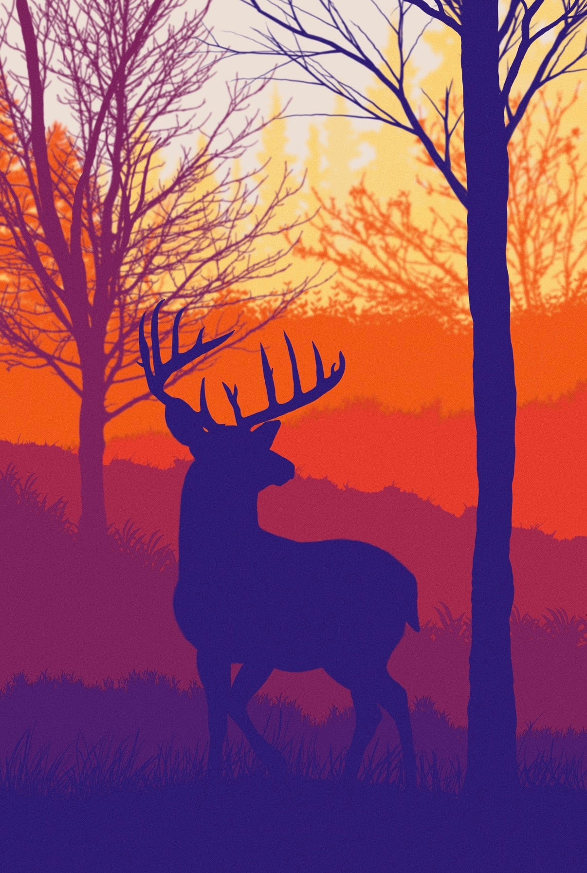 Sunset Buck